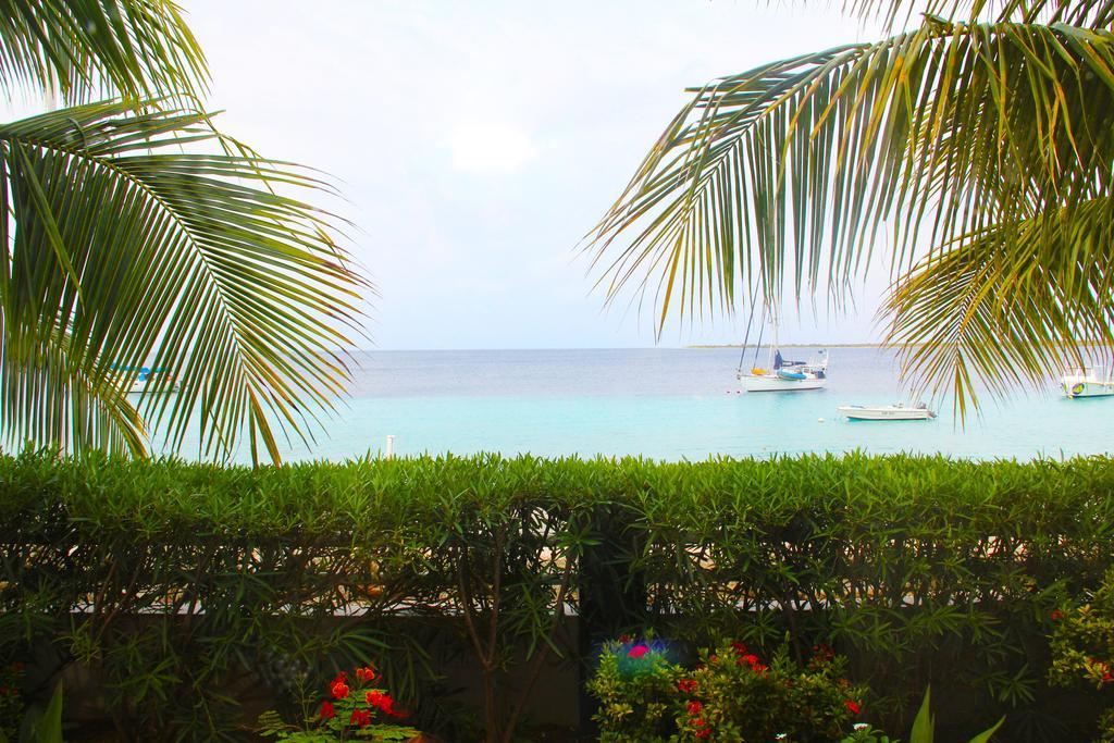 Bonaire Seaside Apartments Exterior photo